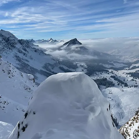 Blaesschopfhuesli Prázdninový dům *