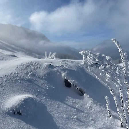 Blaesschopfhuesli Nesslau