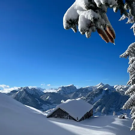 펜션 Blaesschopfhuesli Nesslau