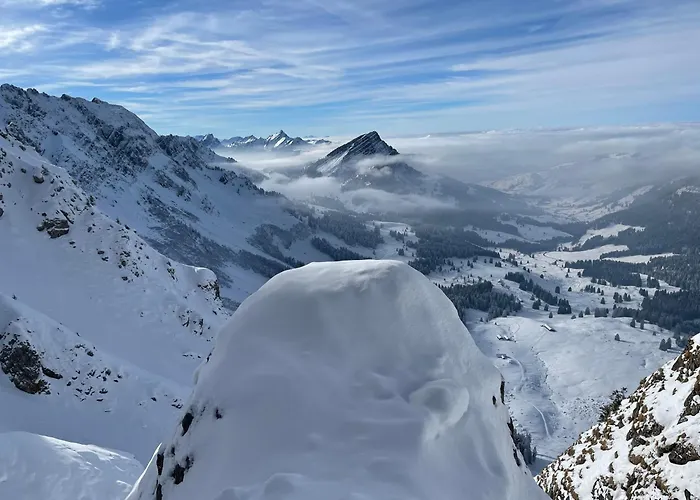 Blaesschopfhuesli Dom wakacyjny *