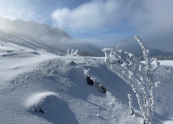 Blaesschopfhuesli Nesslau