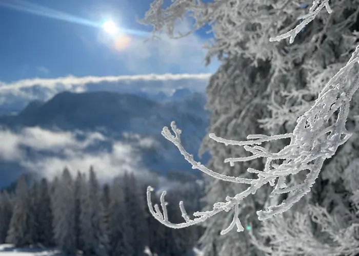 Dom wakacyjny Blaesschopfhuesli