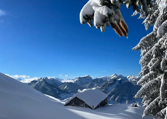 Dom wakacyjny Blaesschopfhuesli Nesslau