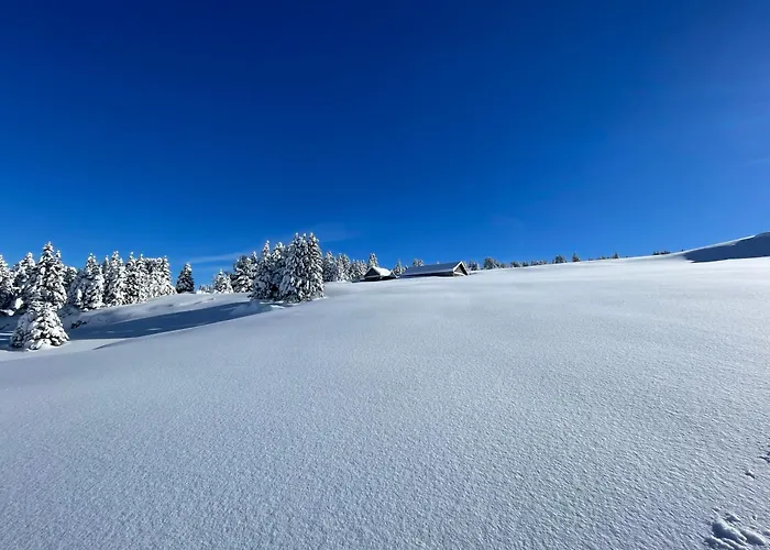 Blaesschopfhuesli Tatil Evi Nesslau