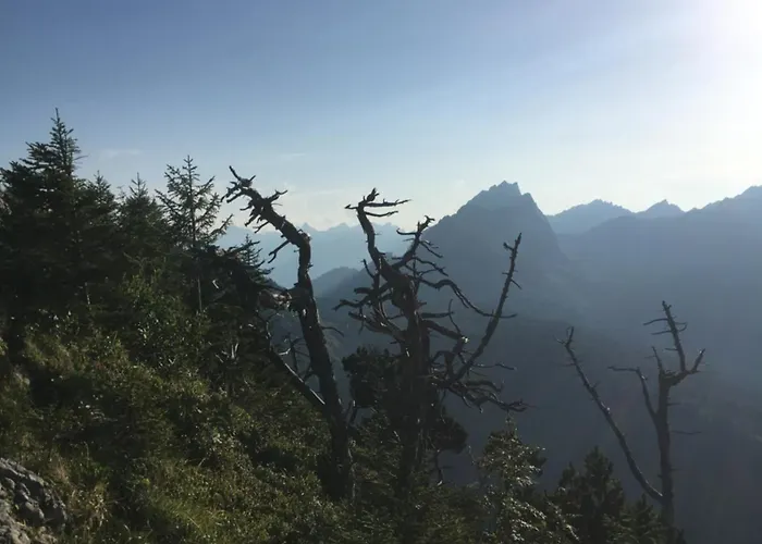 Blaesschopfhuesli Tatil Evi *